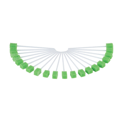 SWAB, ORAL UNTREATED (20/PK 50PK/CS)