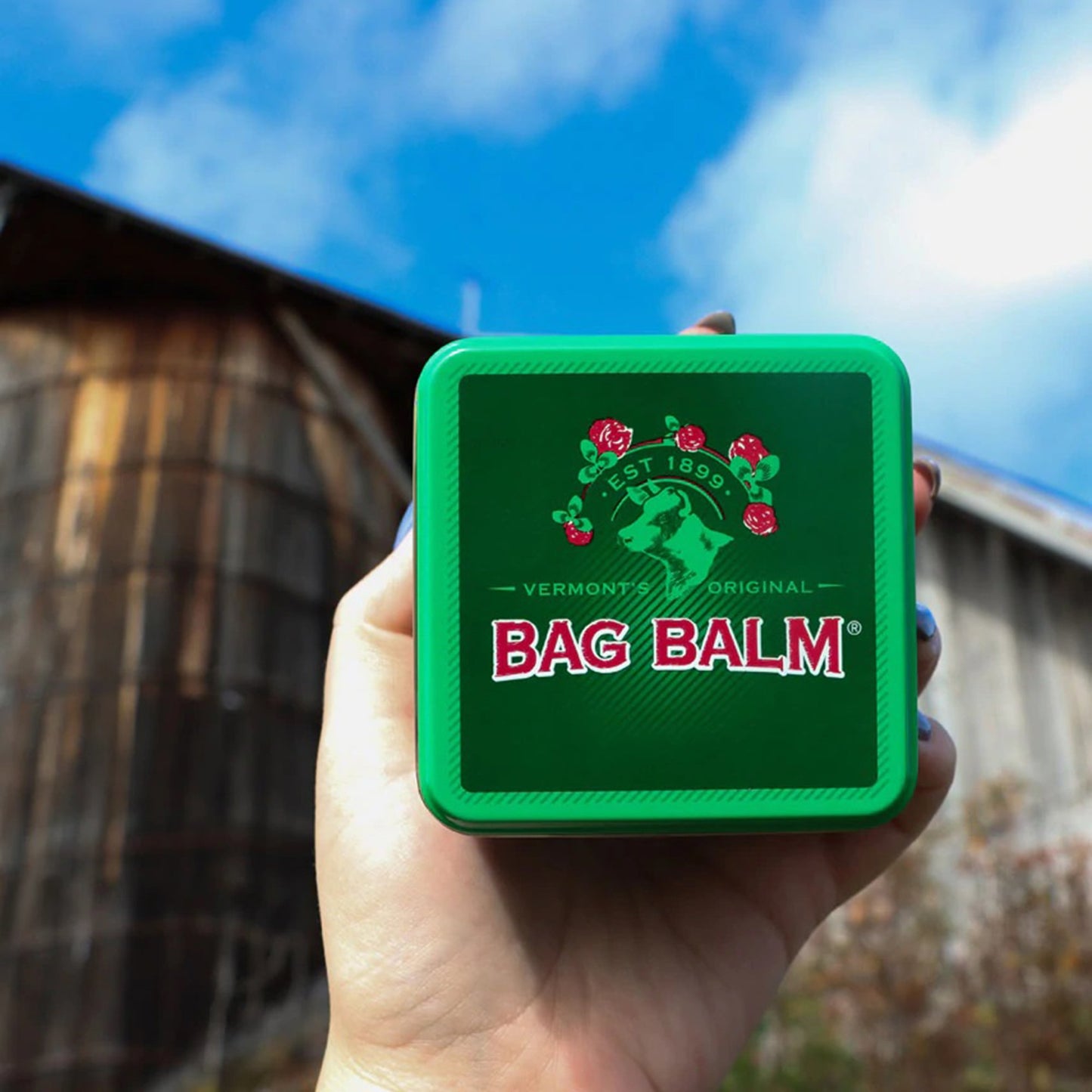 BAG BALM, OINT 8OZ