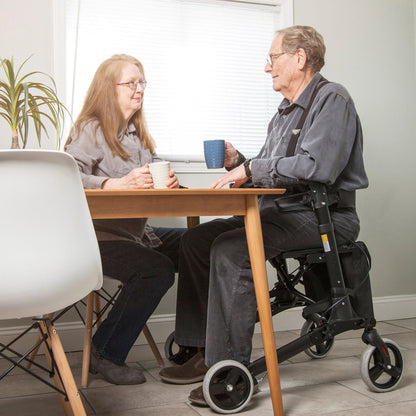 ROLLATOR, HEALTHSMART GATEWAY FOLDING TITANIUM