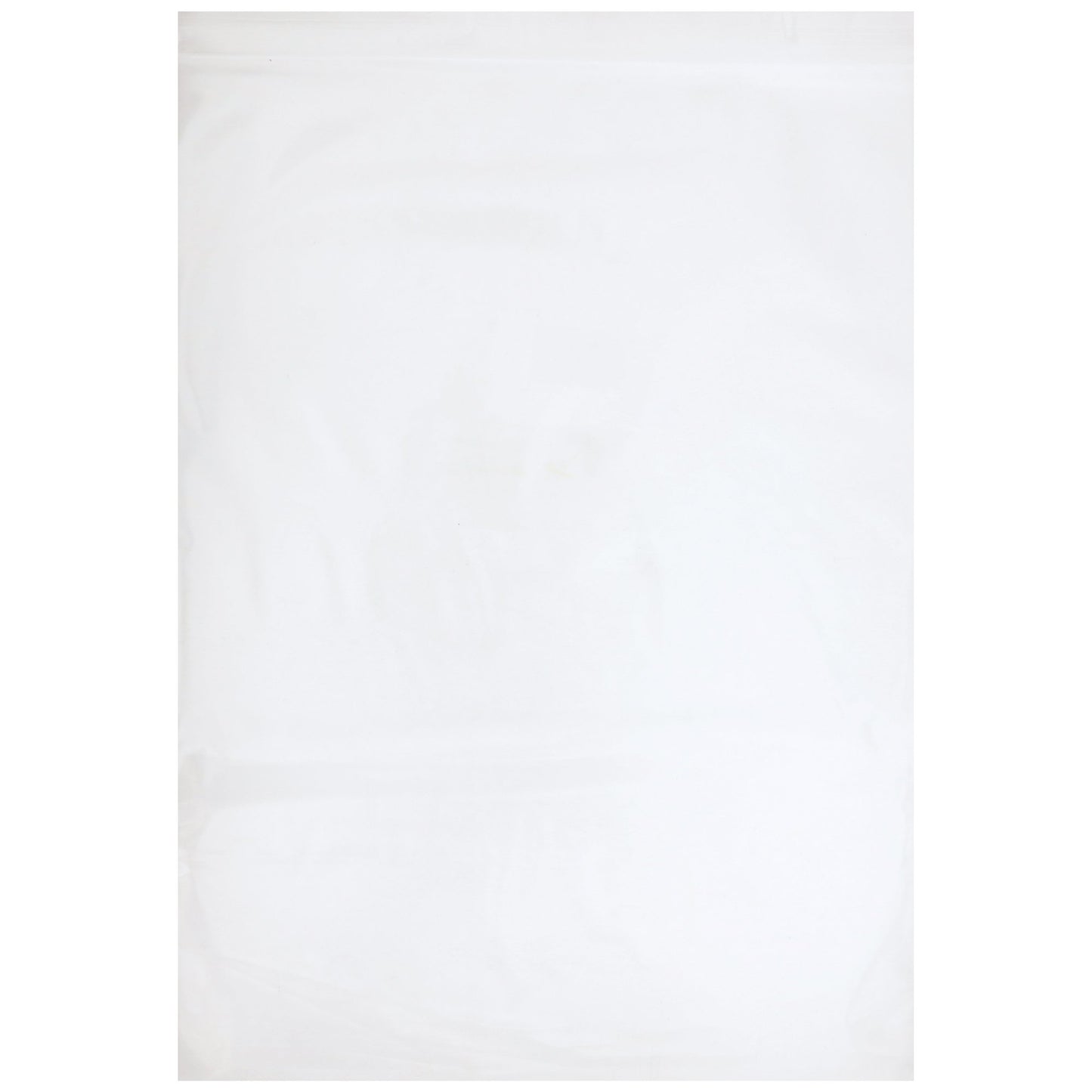 BAG, ZIP LOCK 9X12 (100/BG 10BG/BX 2BX/CS)