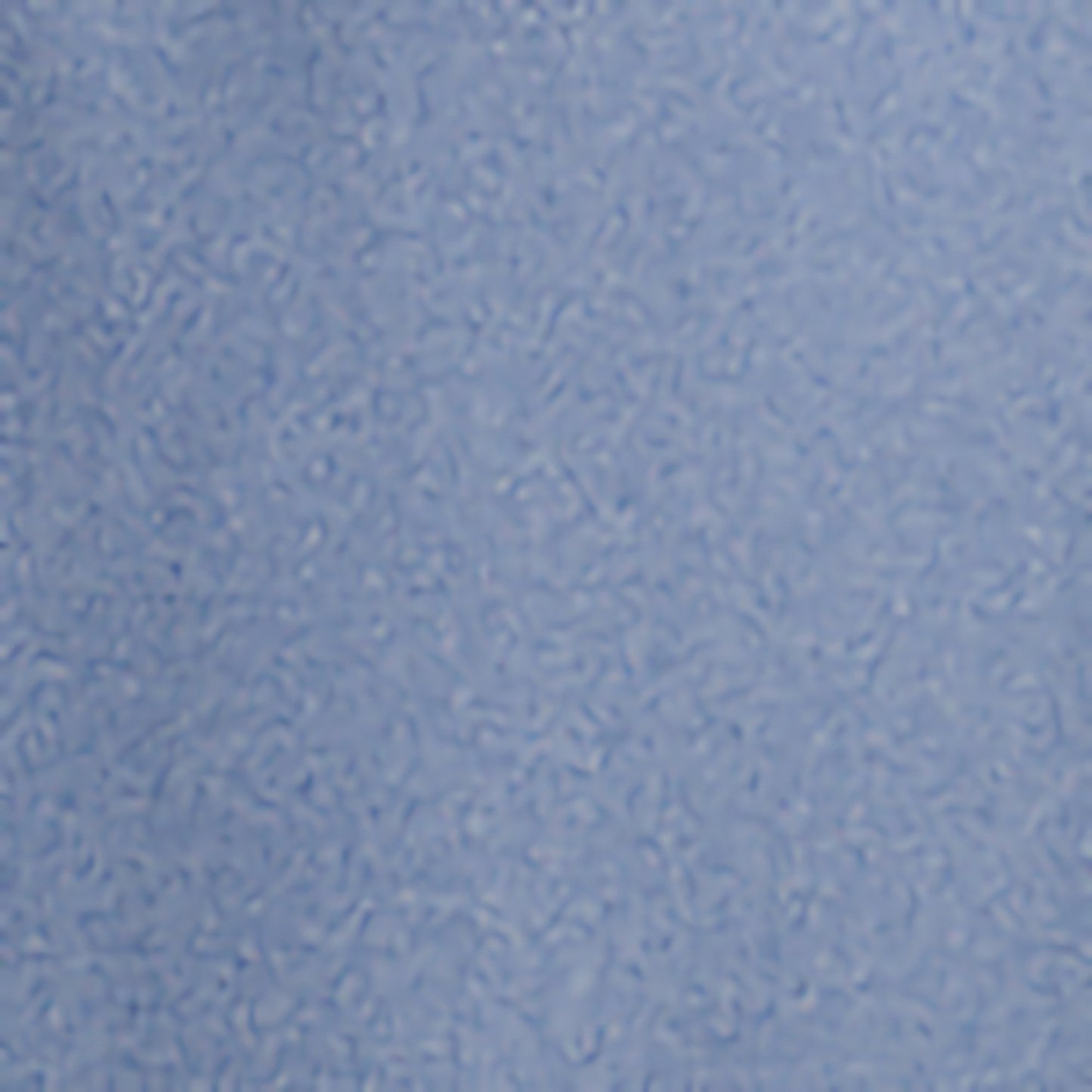 PANTS, GABARDINE OPEN BACK WMNS HEATHER BLU SM