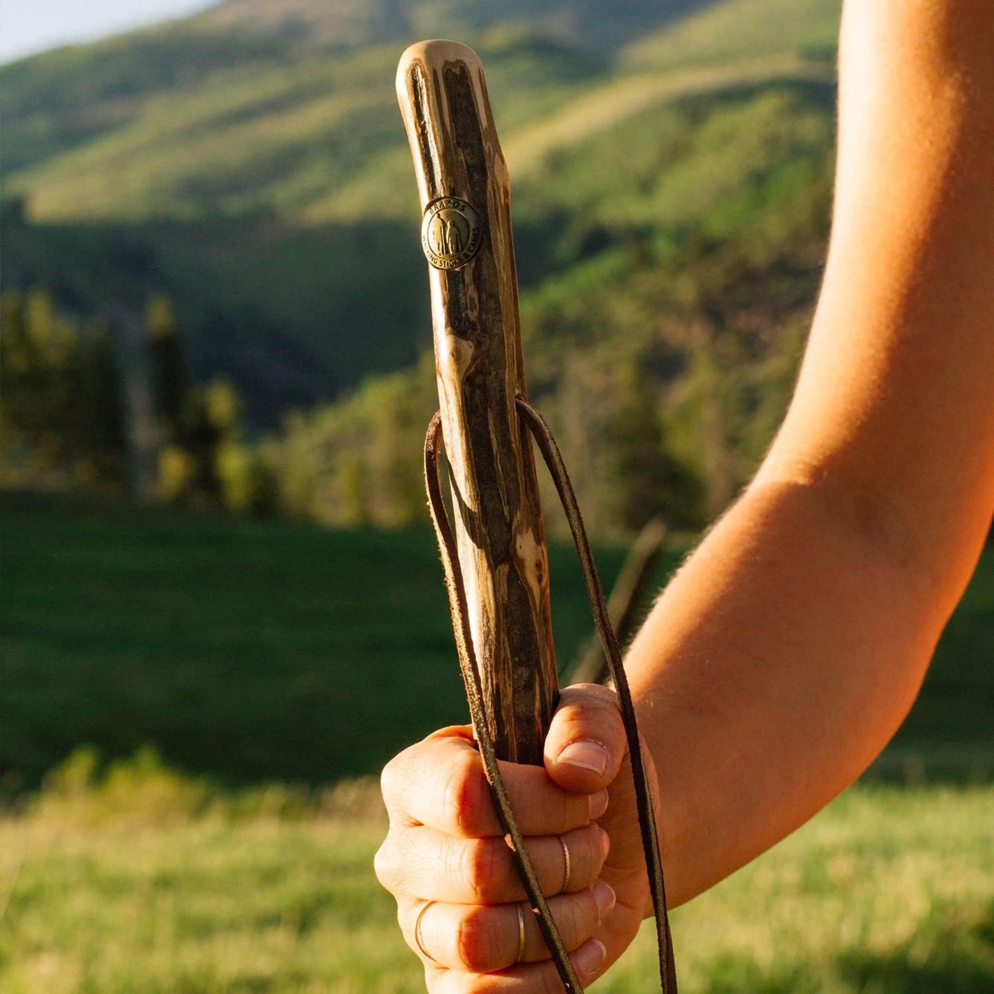 STICK, WALKING IRON WOOD BRAZOS FREE FORM 48"