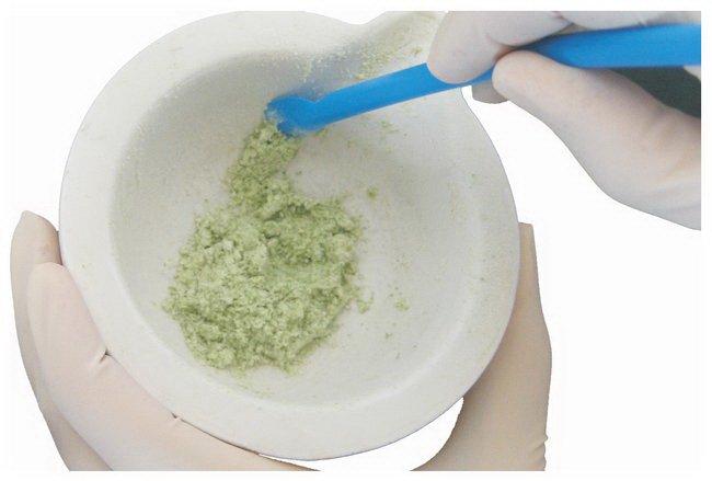 SPATULA, POLYPROPYLENE DISP BLU 210MM (300/PK)