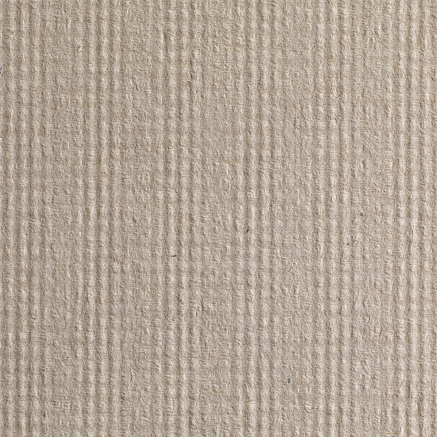 TOWEL, PAPER ECON 1PLY (12PK/CS)