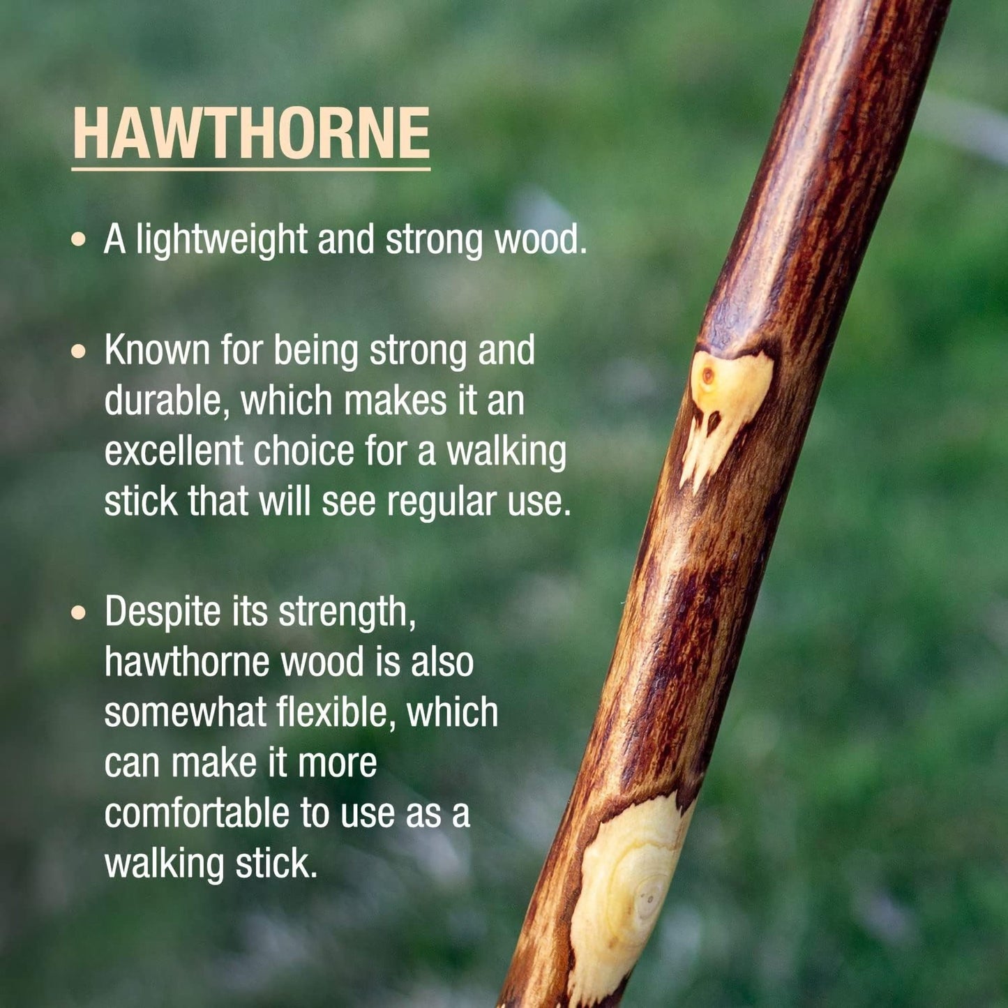 STICK, WALKING WOOD BRAZOS FREE FORM HAWTHORN 58"