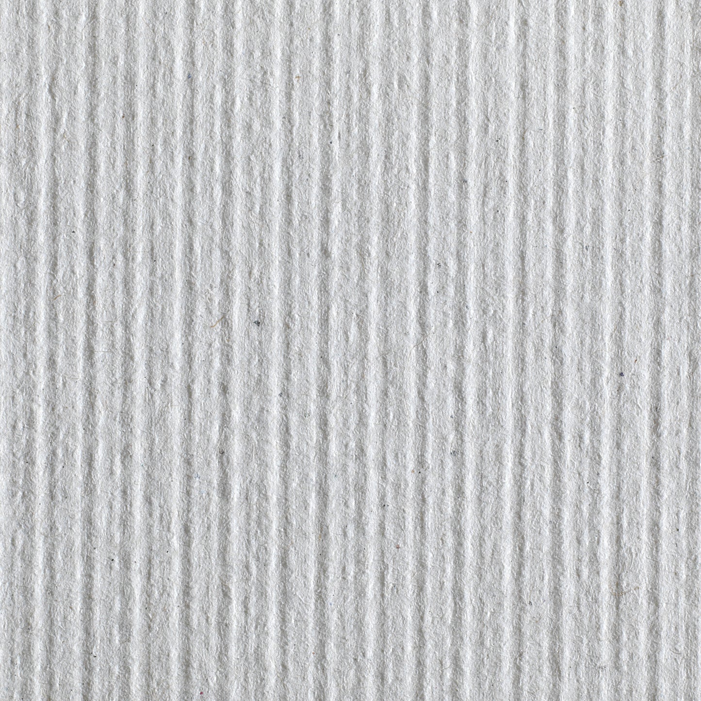 TOWEL, PAPER WHT (6/CS)