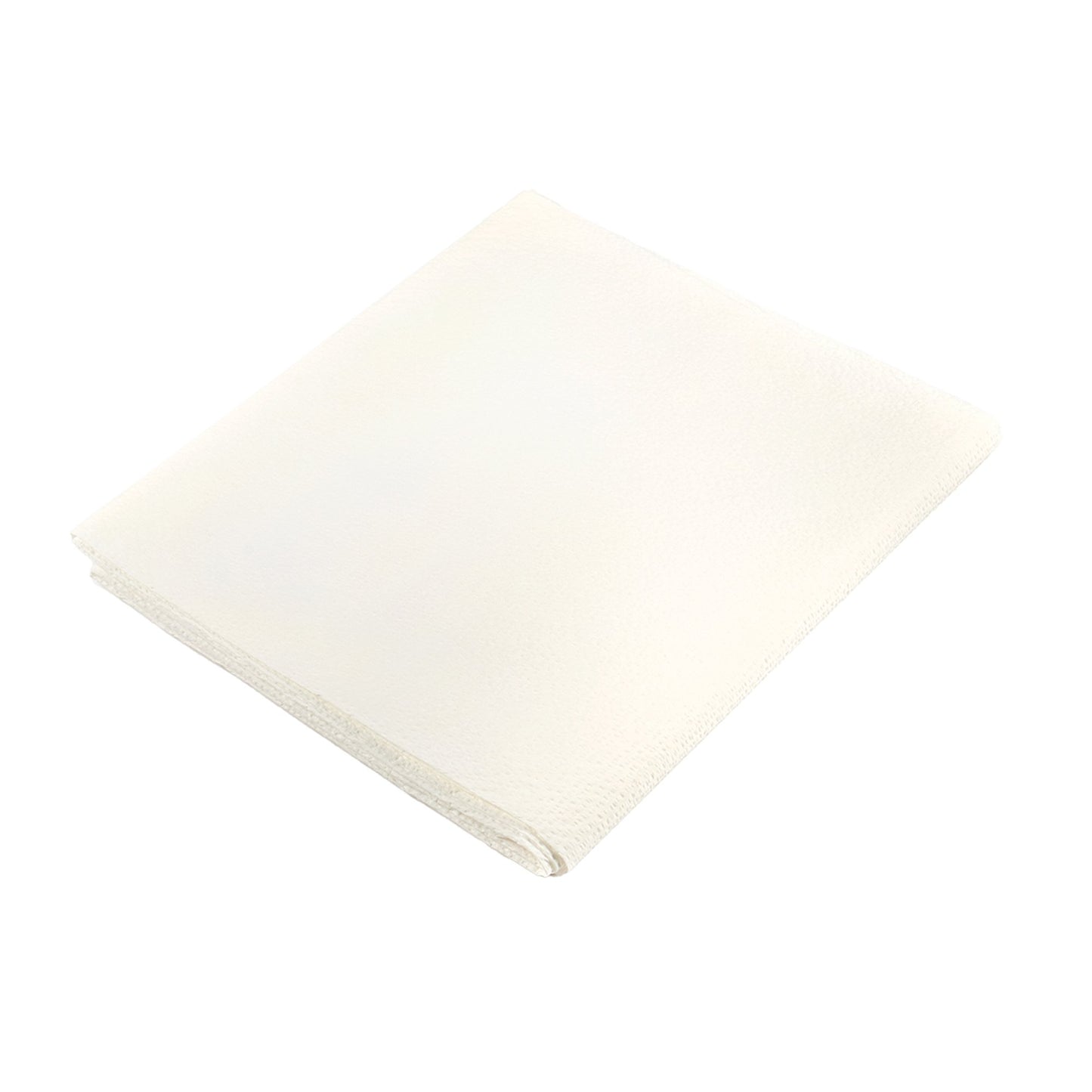 SHEET 40X72 BED WHT TT 50/CS