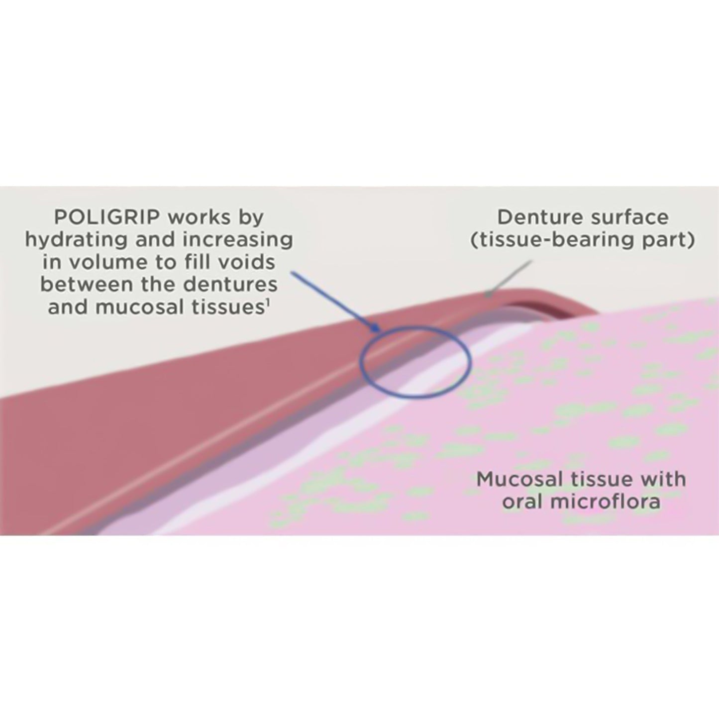 POLYGRIP, SUPER CREAM 2.4OZ